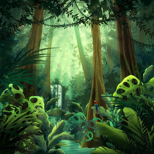 Jungle Walk