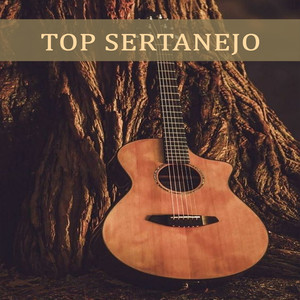 Top Sertanejo