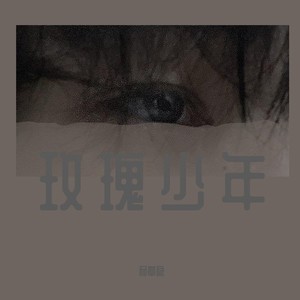 玫瑰少年 (Remix)