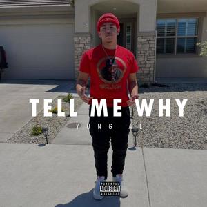 Yung Al - Tell Me Why (Explicit)