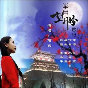举目望月盼君归