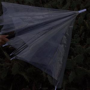 我可以再等你一个冬天