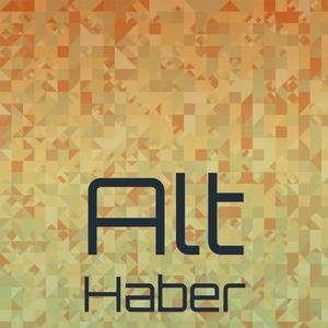 Alt Haber