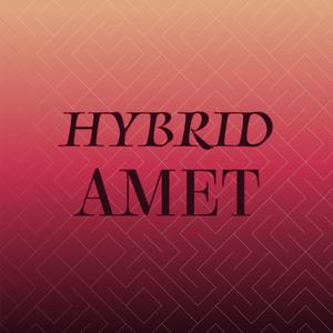Hybrid Amet