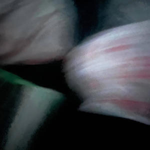 Ride! (feat. Jabari9-11) (Remastered Version)