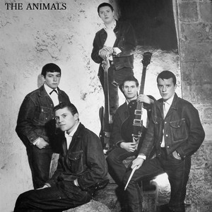 The Animals