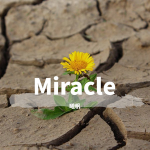 Miracle