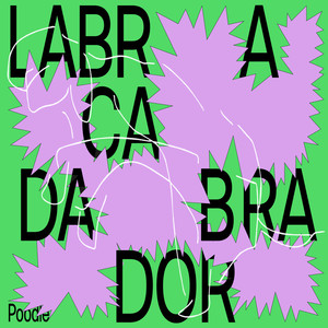 Labracadabrador (Demo) [Explicit]