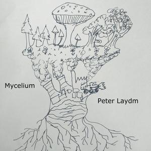 Mycelium