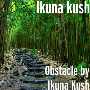 Obstacle by Ikuna Kush