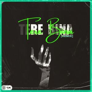 tere bina (Manish. remix)