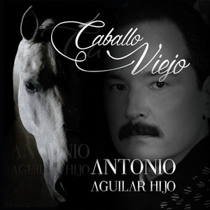 Caballo Viejo