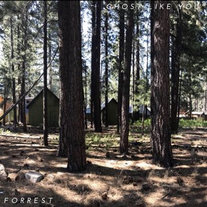 Ghost Like You (Acoustic)