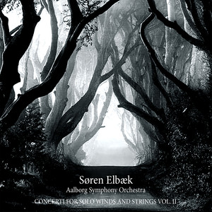 Concerto for Flute and Strings (2018) - I. Adagietto e con brio