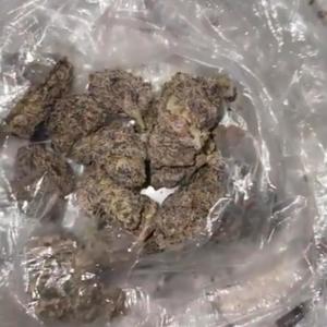 Shells (feat. 30backks, luhjr & gëëklifë10!) (Explicit)