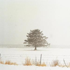 fall down (feat. Nikolai Kravchuk)