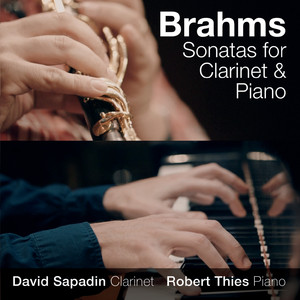 Sonata for Clarinet and Piano in F Minor, Op 120 No.1 - I. Allegro appassionato