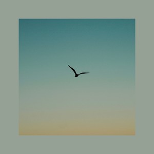 Tamuraryo - New Dawn