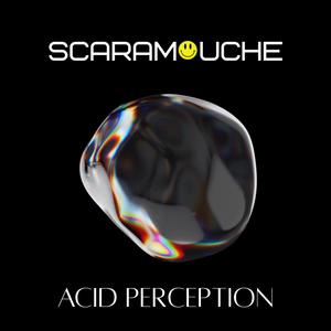 Acid Perception