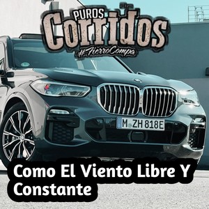 Como el viento libre y constante