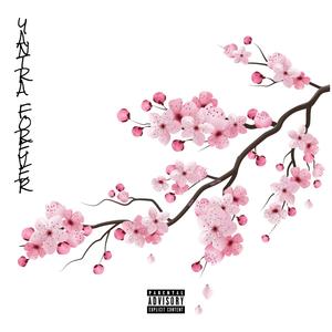 Sheridan 40 Ave (Explicit)