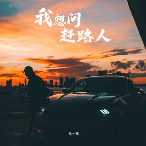 我想问赶路人（烟嗓版）