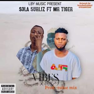 Vibes (feat. Mr tiger|Explicit)