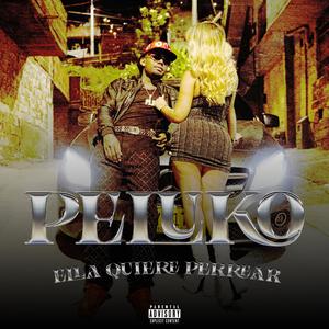 Ella Quiere Perrear (feat. Peluko & Jhonny Verzace) (Explicit)