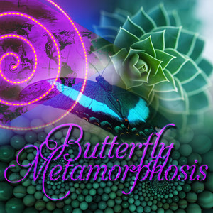 Butterfly Metamorphosis – Effects of Music on the Brain, Pure Balance, Self Hypnosis Therapy, Brain