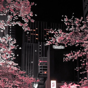 Destiny's Child (Explicit)