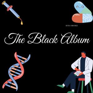 The Black Album (Explicit)