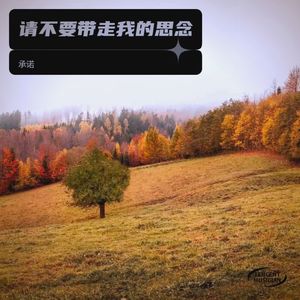 请不要带走我的思念