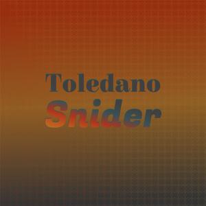 Toledano Snider