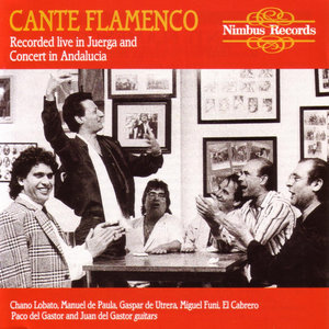 Cante Flamenco - Recorded Live In Juerga And Concert In Andalucia