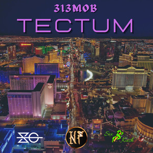 313MOB - Tectum (Explicit)