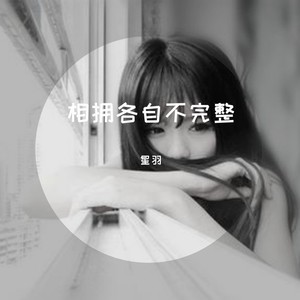 最后是我一个人走过这片海封面