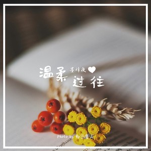 温柔过往