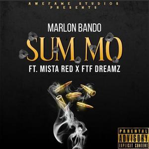 SUM MO (feat. Mista Red & FTF Dreamz) (Explicit)
