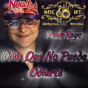 Odio Que No Pueda Odiarte