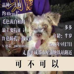 可不可以（寻找多多）