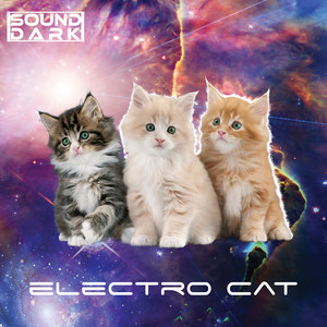 Electro Cat (Extended Mix)