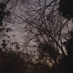 给婷婷老师的歌 (伴奏)