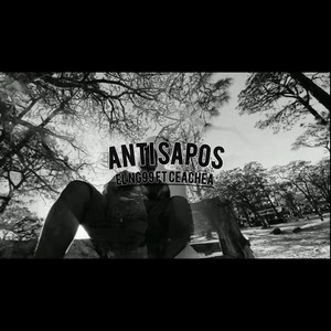 Anti Sapos