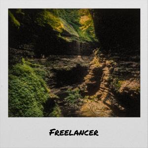 Freelancer