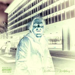 Project 5 (Slowed) (Explicit)