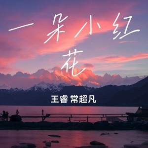 送你一朵小红花-王睿&常超凡