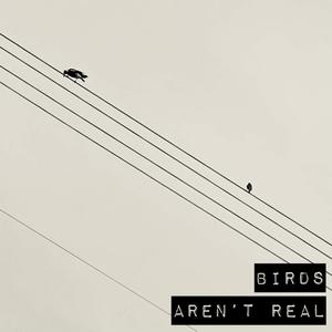 Birds Aren't Real (Explicit)