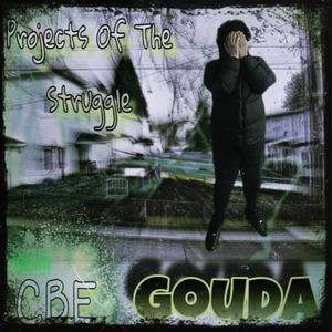 Projects Of The Struggle (Explicit)