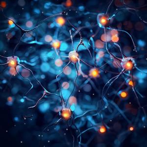 Neural Pathway Reset