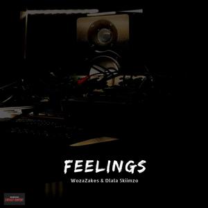 Feelings (feat. Woza Zakes)